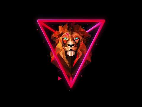 ELECTRONICA ((TRIBAL HOUSE 9))