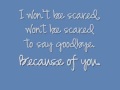 Tim's Song - Andrew Ripp Lyrics On Screen 