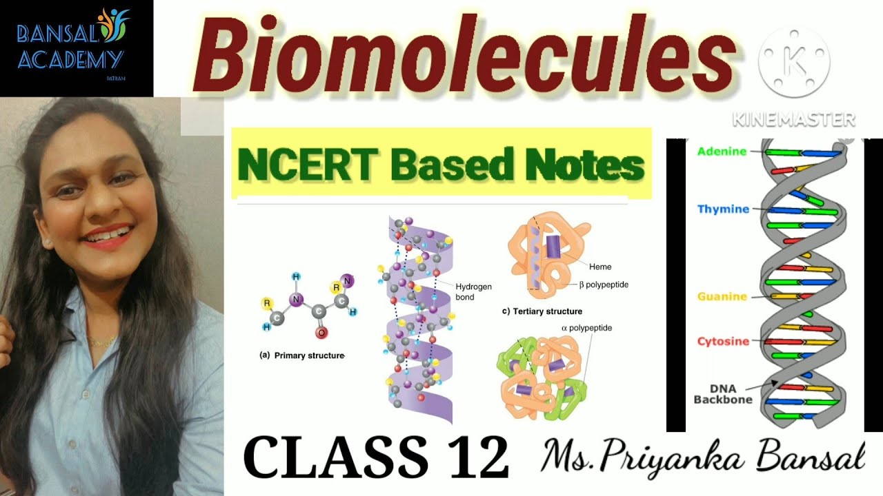 Biomolecules Class 12 | NCERT BASED NOTES | JEE | NEET | BOARDS | CBSE | MASTER CADRE | CHEMISTRY