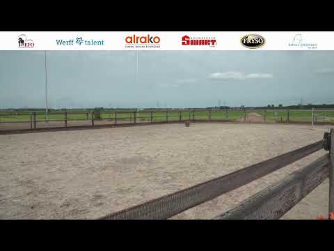 Locatie keuring Stal Sibma | 18 juni 2022