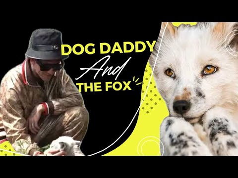 Dog Daddy Playing With A Fox ????