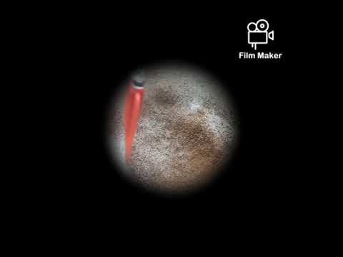 Raisa's Chocolate Cake