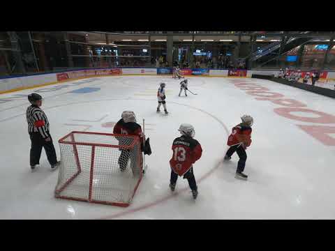 HK Prizma 11B - Falkons 2011  / HK Prizma 2011 / HK  Prizma 11B / LHF / LBJČH /   U11  /   2021/2022