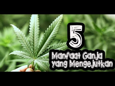 Power untuk potensi laki-laki Pisya kecil mencintai kontol