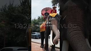 タイ旅行アユタヤ遺跡Vlog✈️🇹🇭