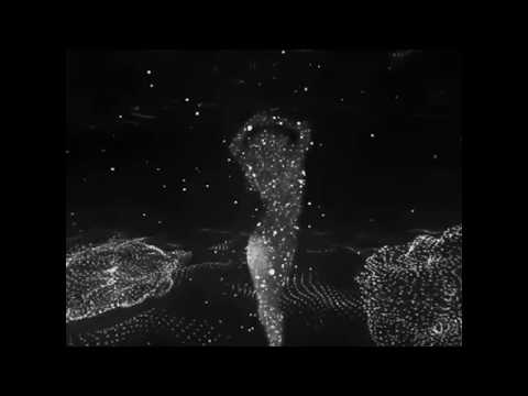 Kristina Bazan - VR ( lyrics video)