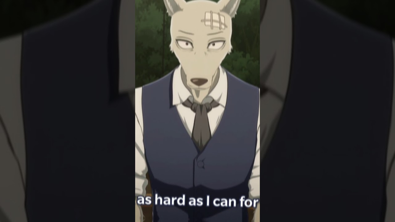 L E G O S H I ❤🐺   B E A S T A R S   S A I S O N 2