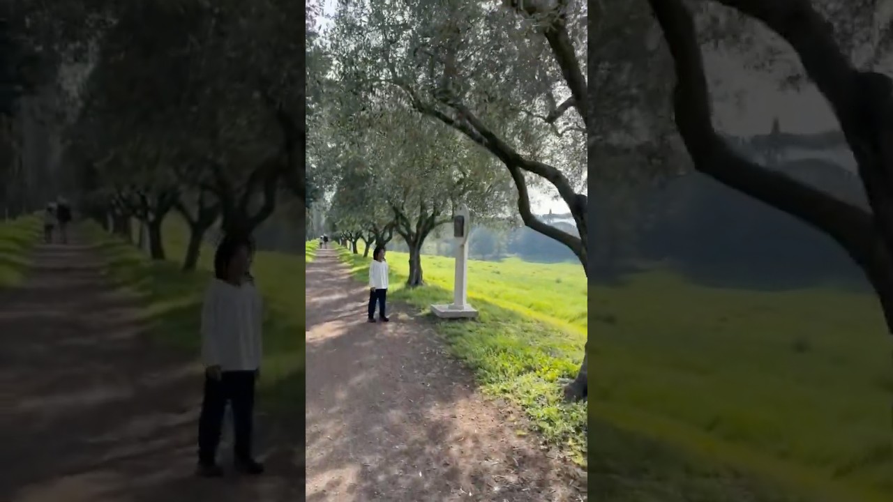 YouTube Short thumbnail