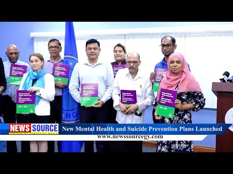 Description or Alt Text