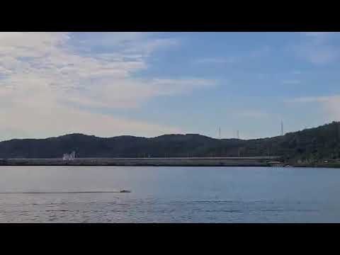 TFL Zonda Rc Boat TEST
