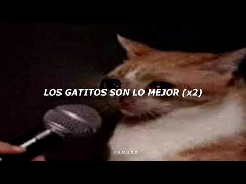 Juana; Los gatitos son lo mejor // (Letra)