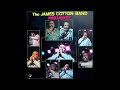The James Cotton Band – I Got A Feelin'