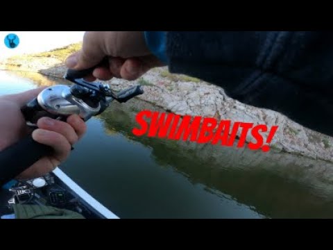 ALL DAY SWIMBAIT GRIND!