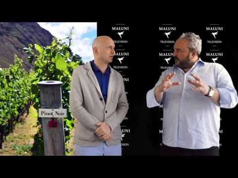 🔴 Welche Eigenschaften hat der PINOT NOIR, der Spätburgunder?