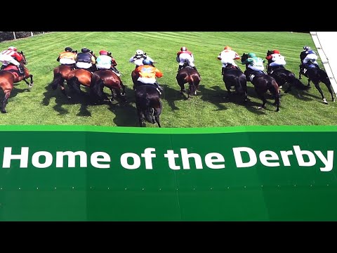 Die Horner Rennbahn als Freizeitpark