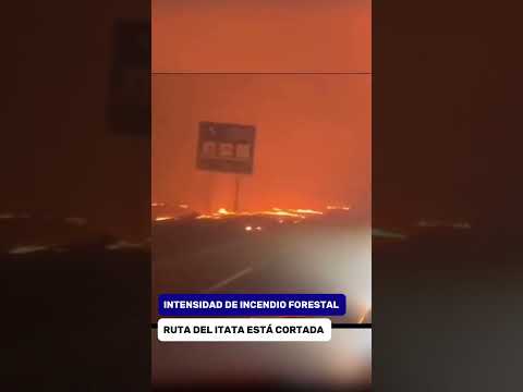 Incendios obligaron a cortar Autopista del Itata el día sábado: Así se veía la carretera