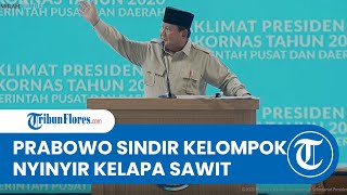 Prabowo Sindir Pihak yang Nyinyir Soal Kelapa Sawit, Sebut Sebagai 'Miracle Crop' Kebanggaan RI
