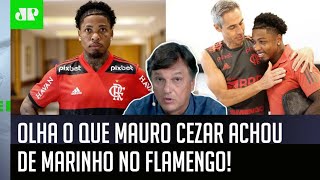 ‘O Marinho é um cara que chega ao Flamengo para…’; Mauro Cezar é direto sobre reforço do Mengão