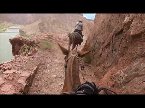 SSW Promo - April 5 Concert - On The Trail