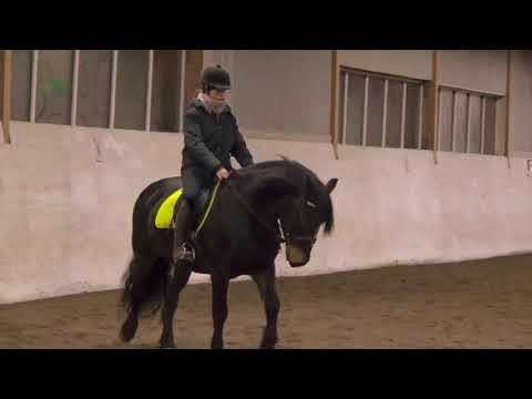 Emelie rider Min Grej