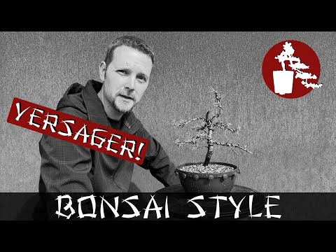 Totalversagen bei meiner Zeder | Zeder (Pinaceae) | #065 Bonsai Style