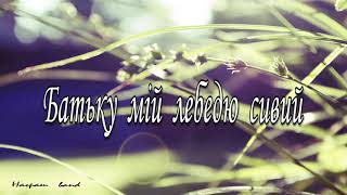 Musik-Video-Miniaturansicht zu Батьку мій, лебедю білий (Batʹku miy, lebedyu bilyy) Songtext von Ukrainian Folk