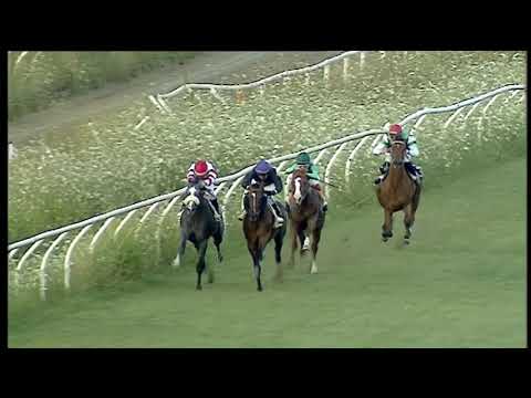 Galoppo 25/07/2020 - 3ª corsa