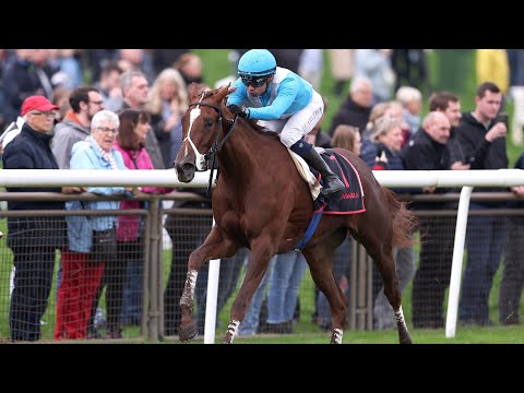 Hannover: Arqana Herbst-Stuten-Preis 2024 Siegerin: Ultima