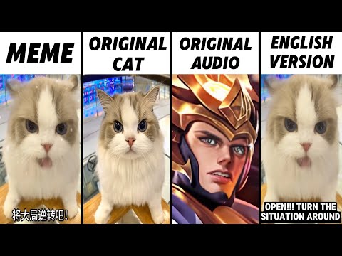 Chinese Cat Original vs Meme vs Original Audio vs English Version