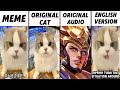 Chinese Cat Original Vs Meme Vs Original Audio Vs English Version