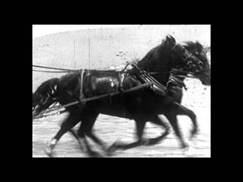 Runners "Official music video"