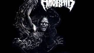 Amorphis - Excursing From Existence