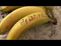 I Bought Bananas And Gushers And THIS HAPPENED Omg So Crazy Ahh Read Description