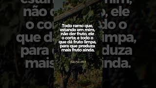 📖 Você Tem Produzido Frutos?