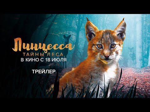 Трейлеры Очаровательный лес