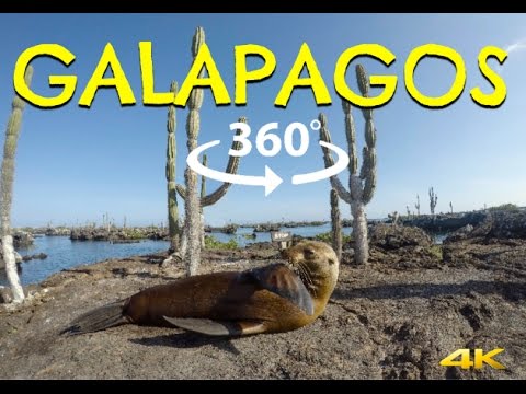 360º Galapagos Islands, Ecuador ⎸ 360 Honeymoon