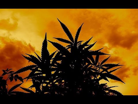 HardTek - Tek me Away! FreeTek Vol. 3 (RaggaTek)