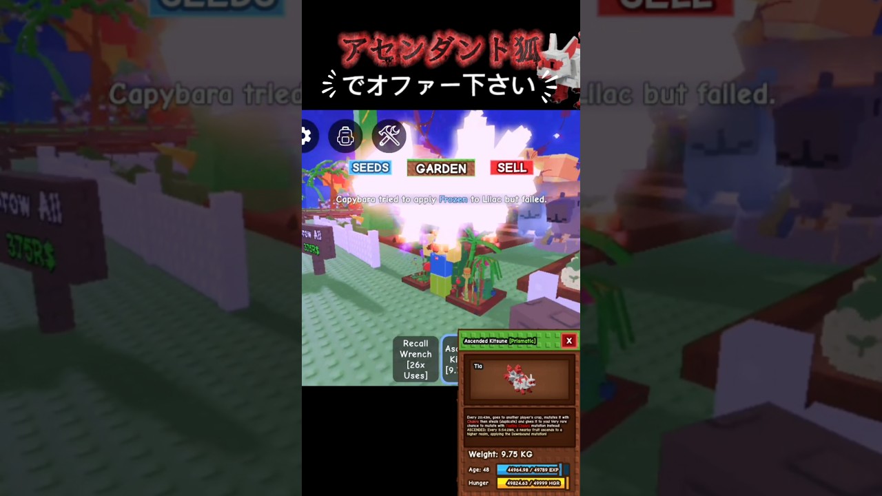 【庭を成長させる/grow a garden】これでオファー下さい🦊 #growagarden #庭を成長させる #roblox