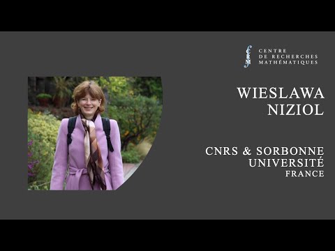 Hodge Theory of p-adic analytic varieties and arithmetic applications III