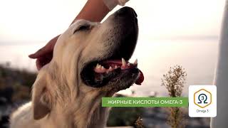 Корм Alleva Equilibrium Sensitive Adult Medium & Maxi для собак (ягненок, океаническая рыба)