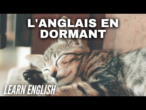 Apprendre l'anglais en dormant - Niveau débutant - Apprendre des mots & phrases anglais en dormant