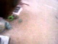 101 3300 Mov