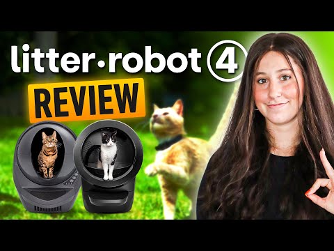 Litter Robot 4 Review: See The Final Verdict On This Highly Rated Pet Service