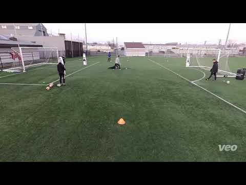 Pro Alpha Goalkeeper Training DEALING CROSSES AND ATTACK FROM WIDE AREAS  Jan 2021