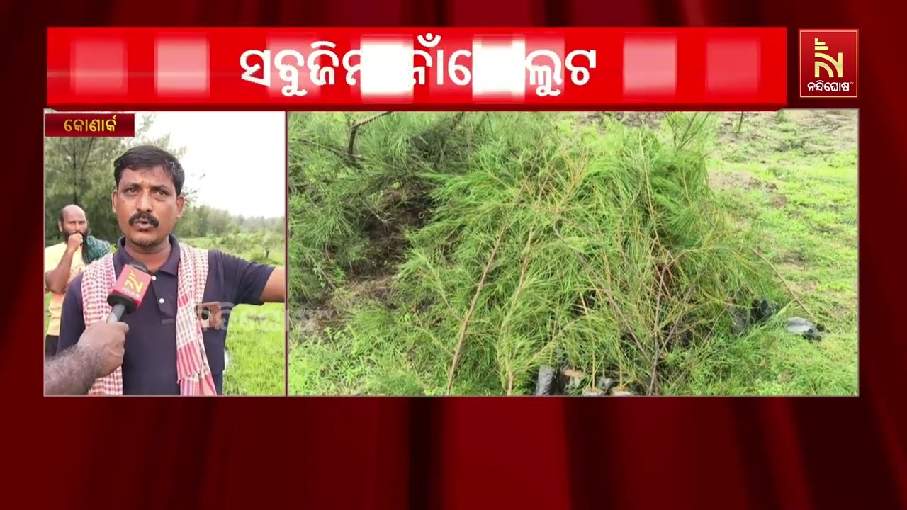 ପୁରୀ ଅସ୍ତରଙ୍ଗ ବନ୍ୟପ୍ରାଣୀ ବନାଞ୍ଚଳରେ ସବୁଜିମା ନାଁରେ ଲ?