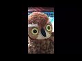 Zoomates Episode 1 Therapy