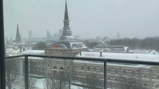 【オランダ】引越し→スイスへ(雪の日のハーグ)