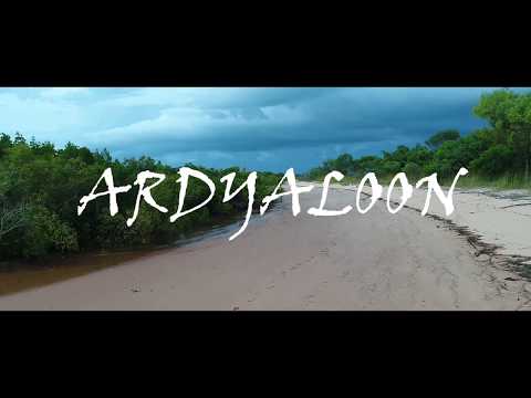Ardyaloon - The Struggling Kings