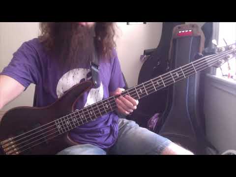 Sondre Lerche - Lucky Guy (Bass Cover) [Pedro Zappa]