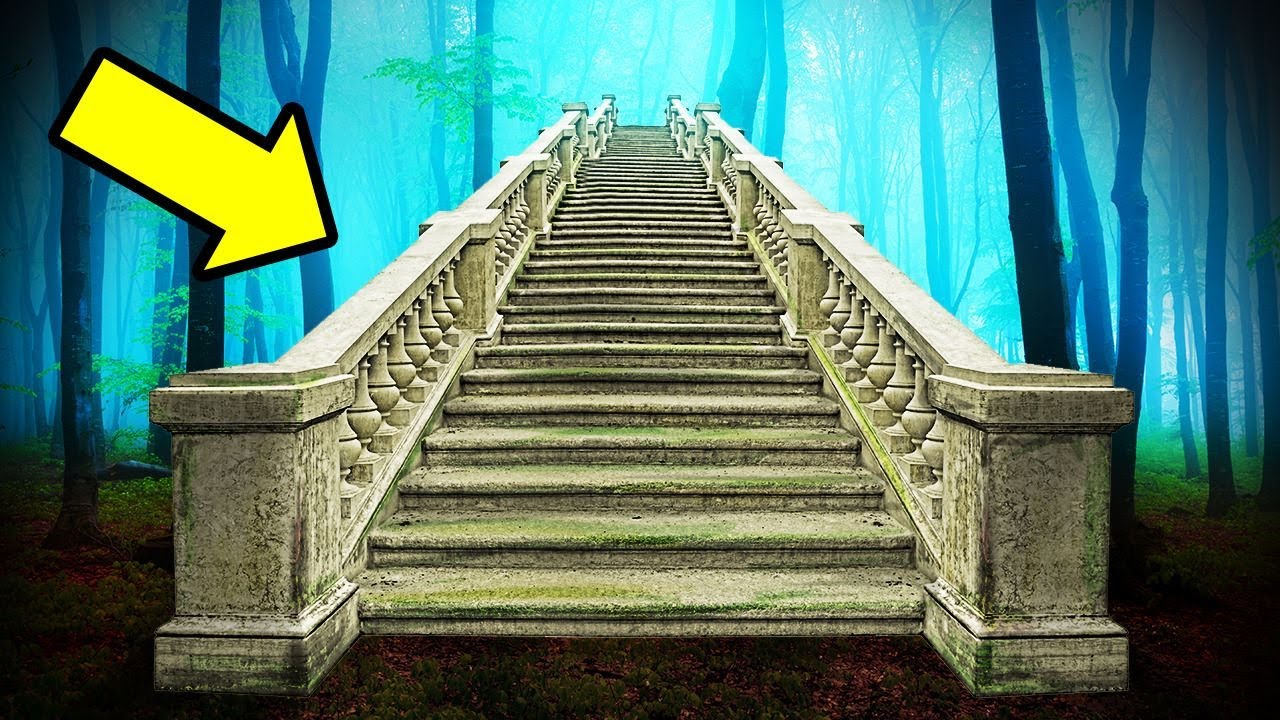 Откуда в глухих лесах появляются таинственные лестницы